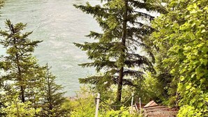 Une vue sur une rivière, avec des arbres et un escalier en bois qui descend vers l’eau.