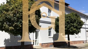 Uklassifisert bilde, 4 av 15, knapp
