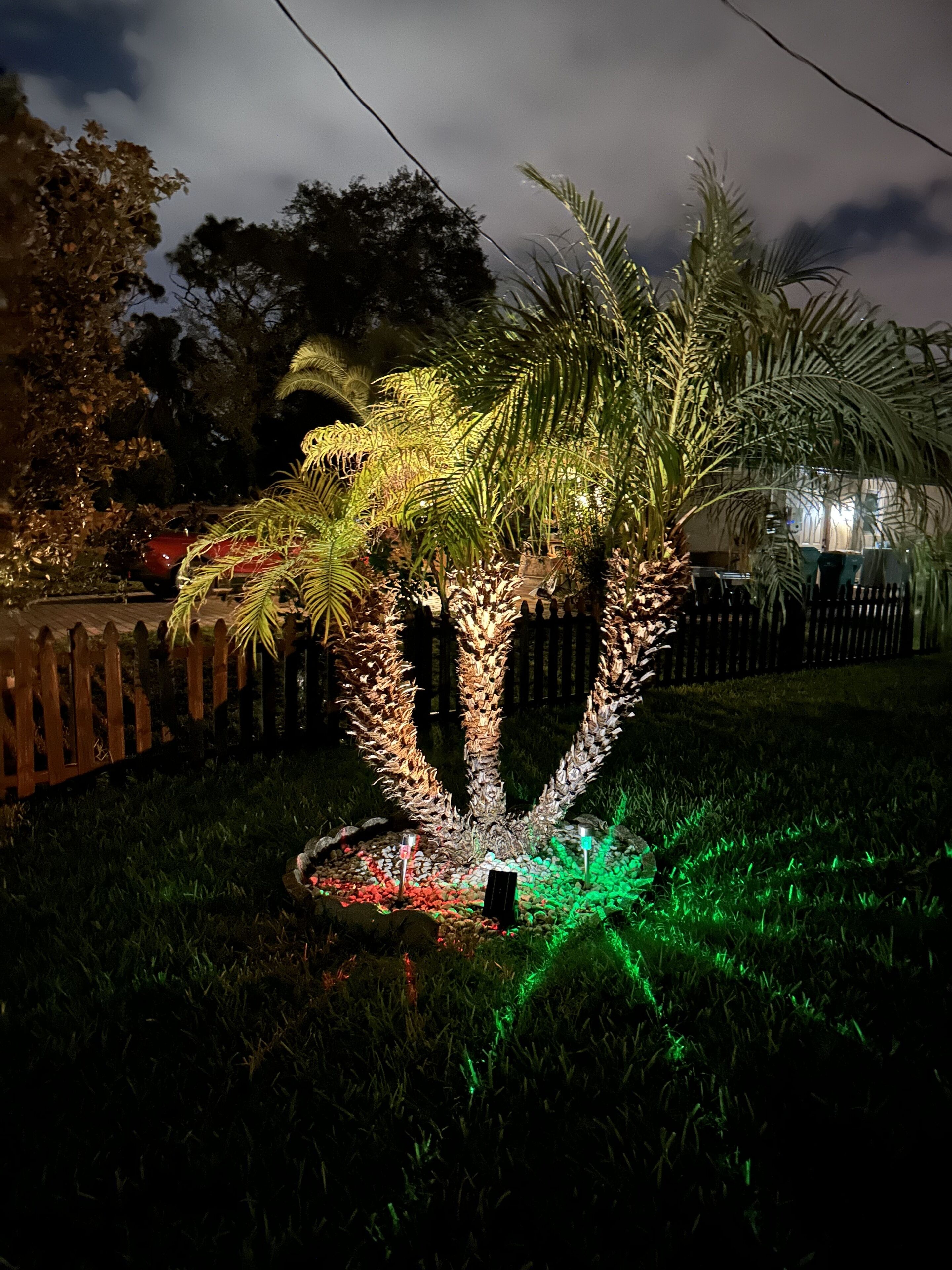 Palms on Pellam Blvd