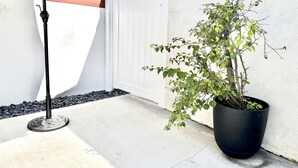 Een potplant naast een witte muur, een zwarte paraplu en een betonnen vloer.
