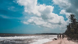 Une plage où l’on voit des gens se promener, des palmiers et un ciel dégagé.