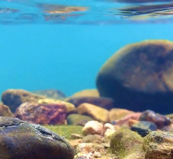 An underwater scene with rocks and a large spherical object.