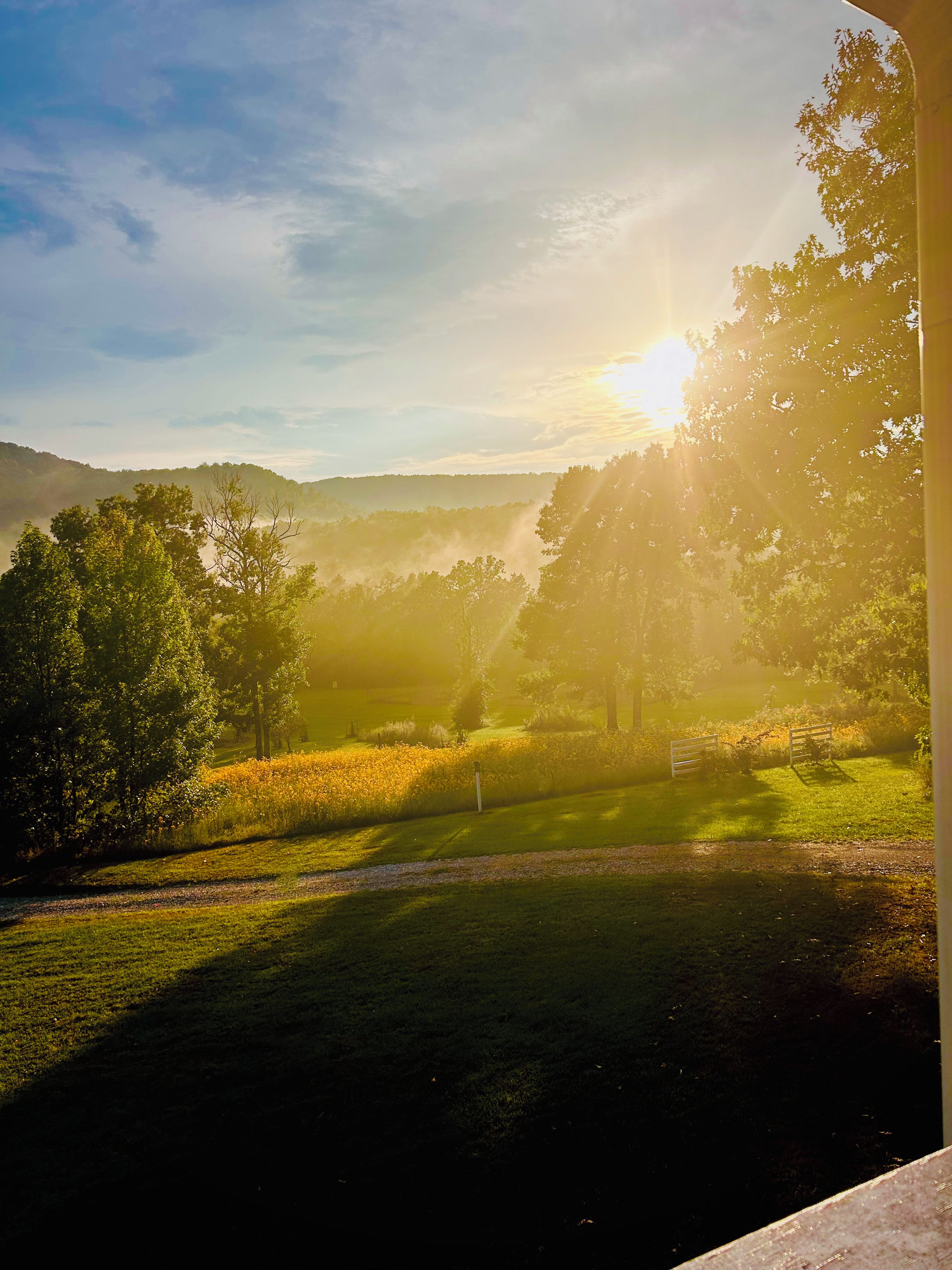 A landscape with a path leading through a grassy area with trees and a hill in the background.