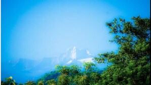 A mountain landscape with dense forest in the foreground and a clear sky. - Amazing & Eco-friendly Beach house (Palomino)