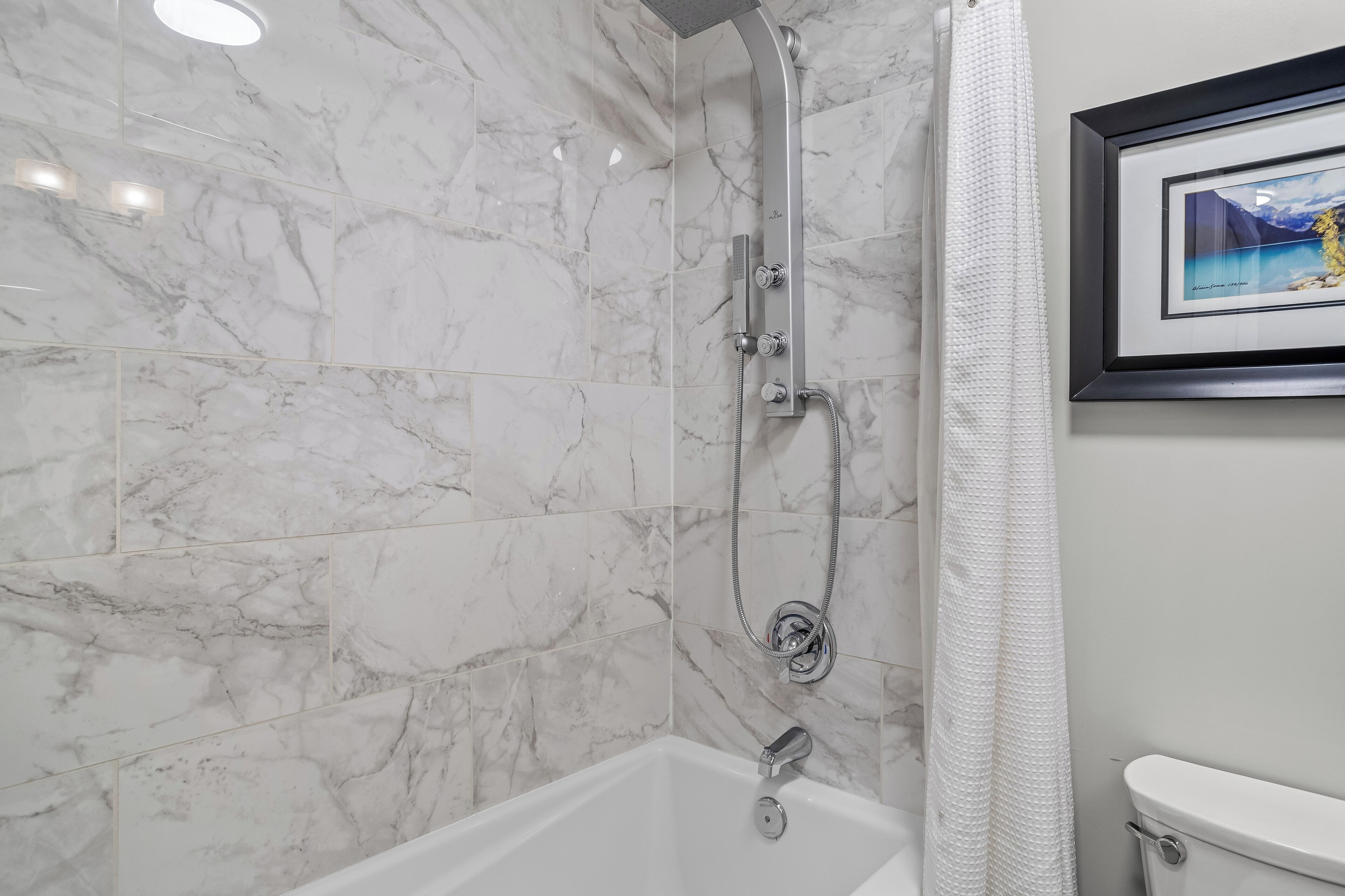A bathroom with a shower, toilet, and a framed picture on the wall.