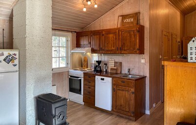 3 bedroom awesome home in Bjorli