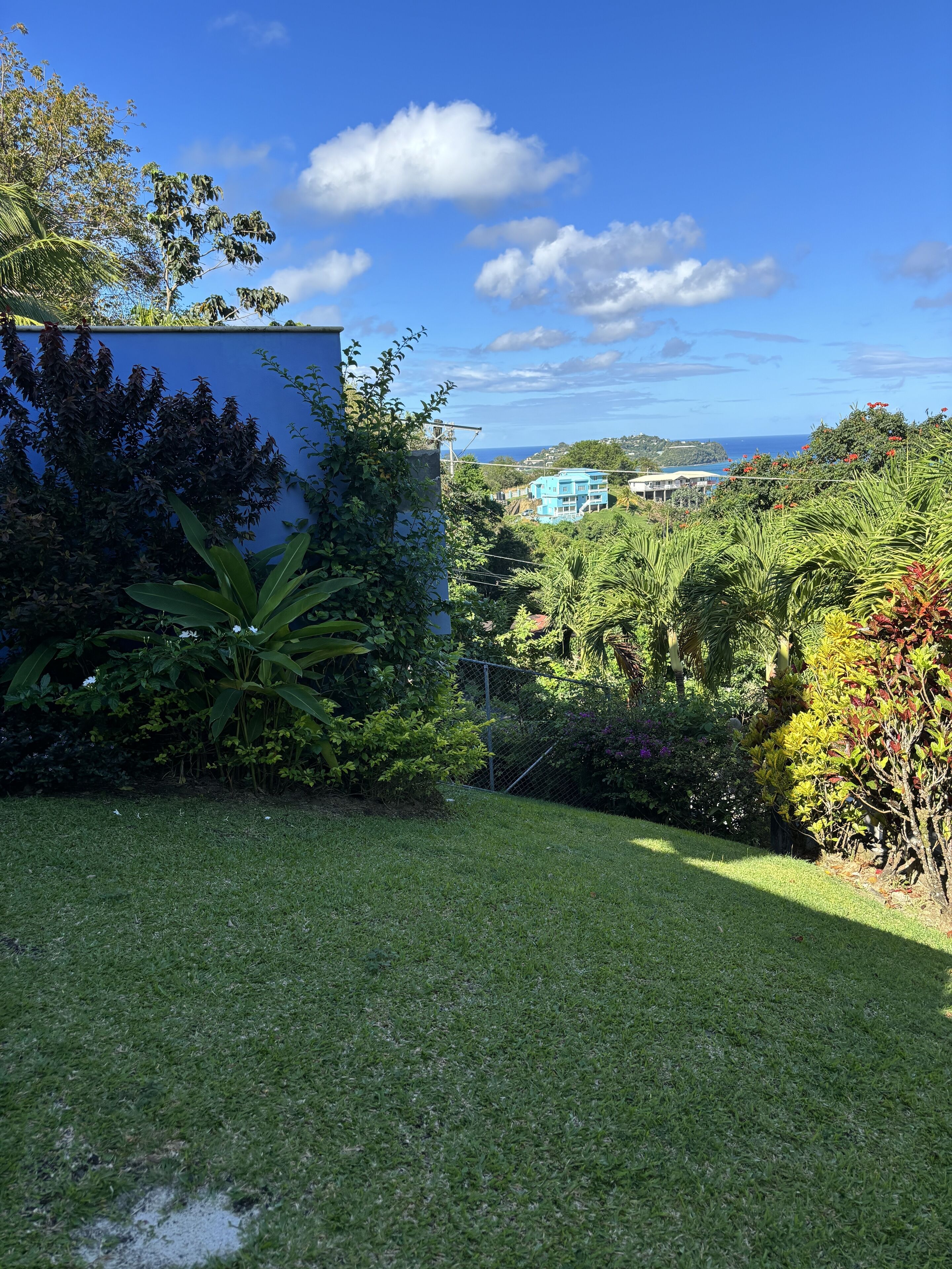 Un jardin luxuriant, avec une grande variété de plantes, et une vue dégagée sur l’océan en arrière-plan.