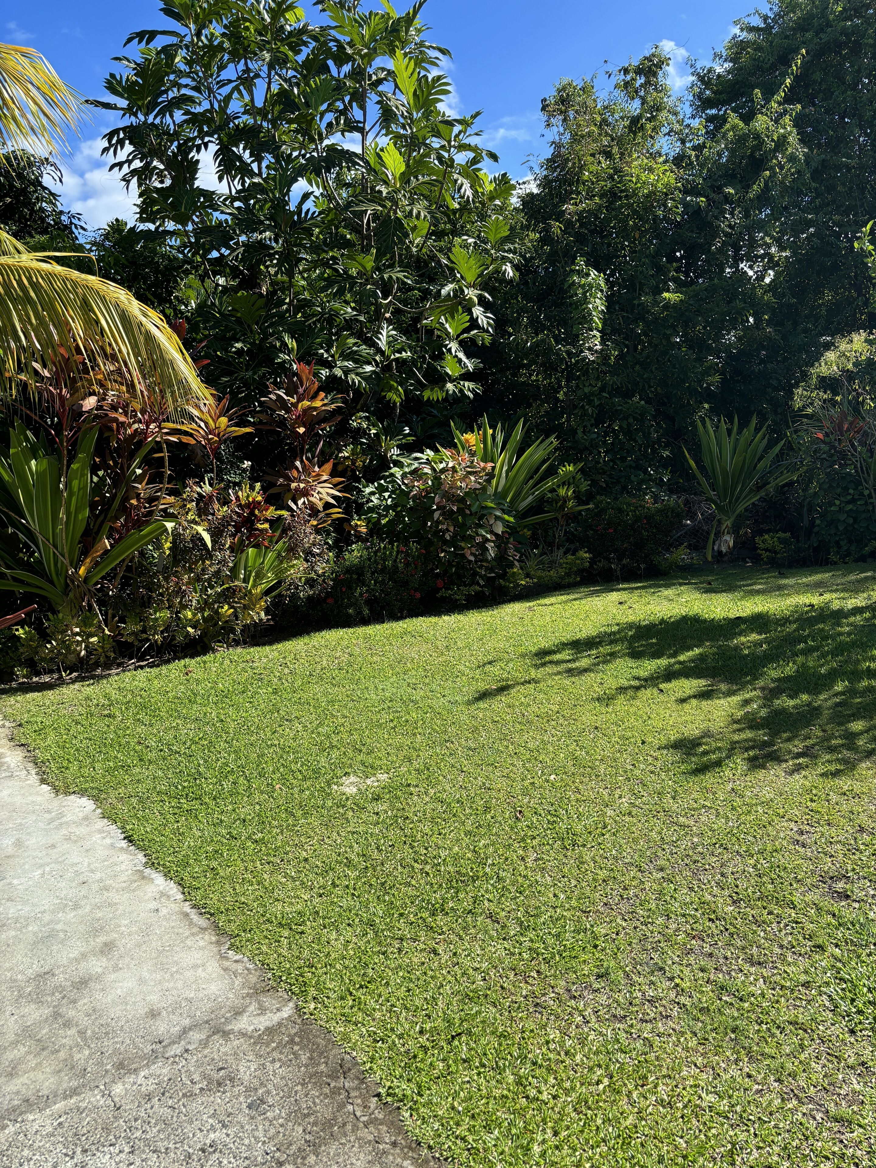 A well-maintained grassy area with a concrete path on the left.