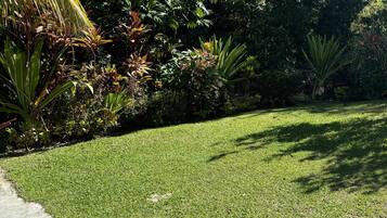 A well-maintained grassy area with a concrete path on the left.