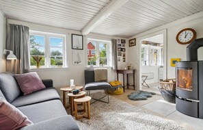 Televisor i llar de foc 