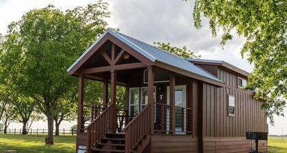 Modern Tiny Cabin on 550-acre Ranch, ATV, & Safari.