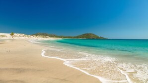 Une plage avec une eau turquoise et limpide, un rivage sablonneux et une petite colline en arrière-plan.