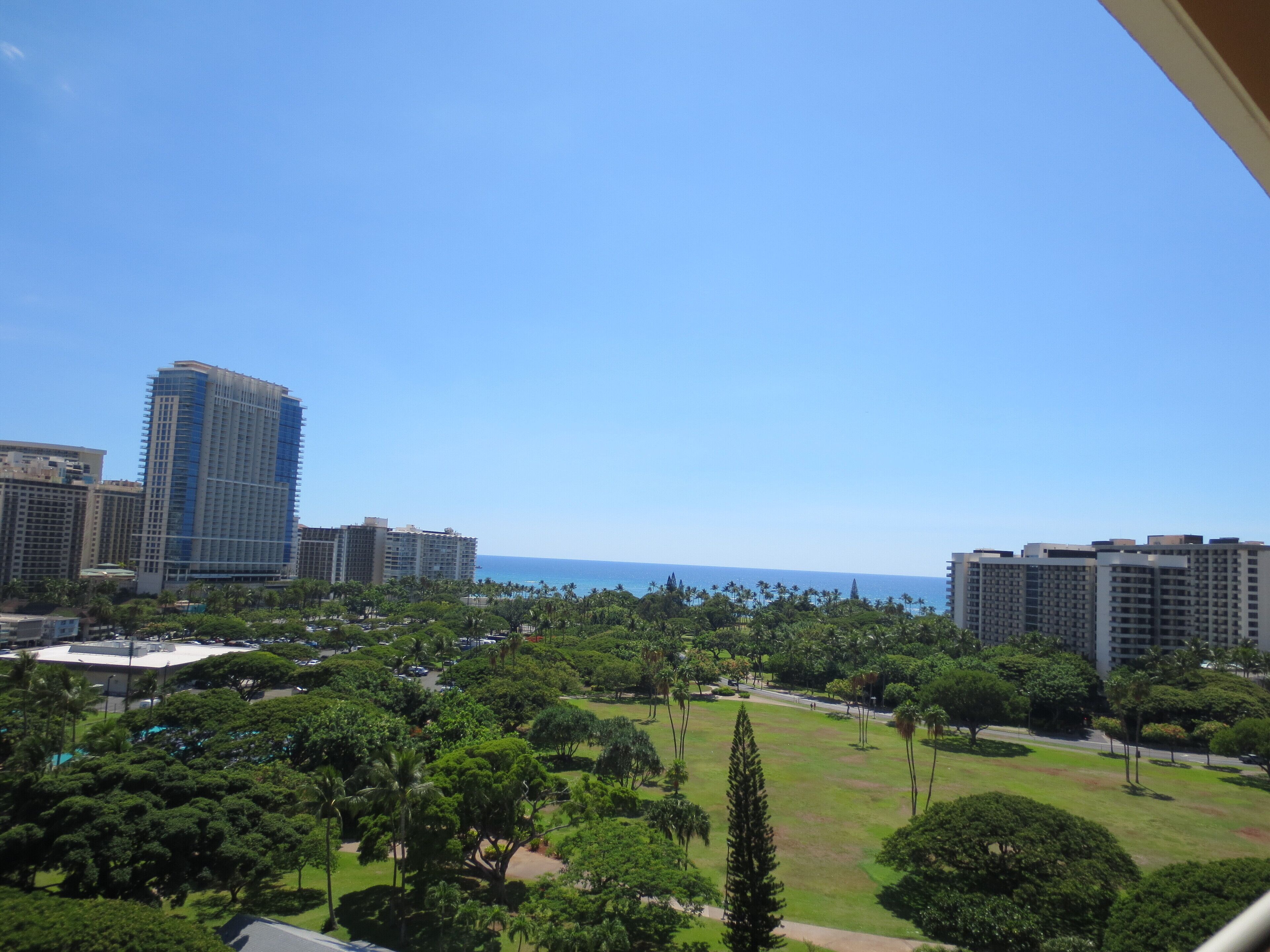 A high-rise building with a view of the ocean and a park with trees.