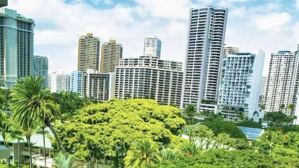 A rooftop pool with lounge chairs and palm trees, surrounded by high-rise buildings. - Amazing view in the beautiful Luana Waikiki! (Honolulu)