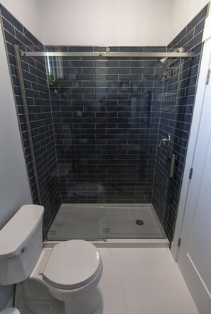 Douche, séchoir à cheveux, serviettes fournies, savon