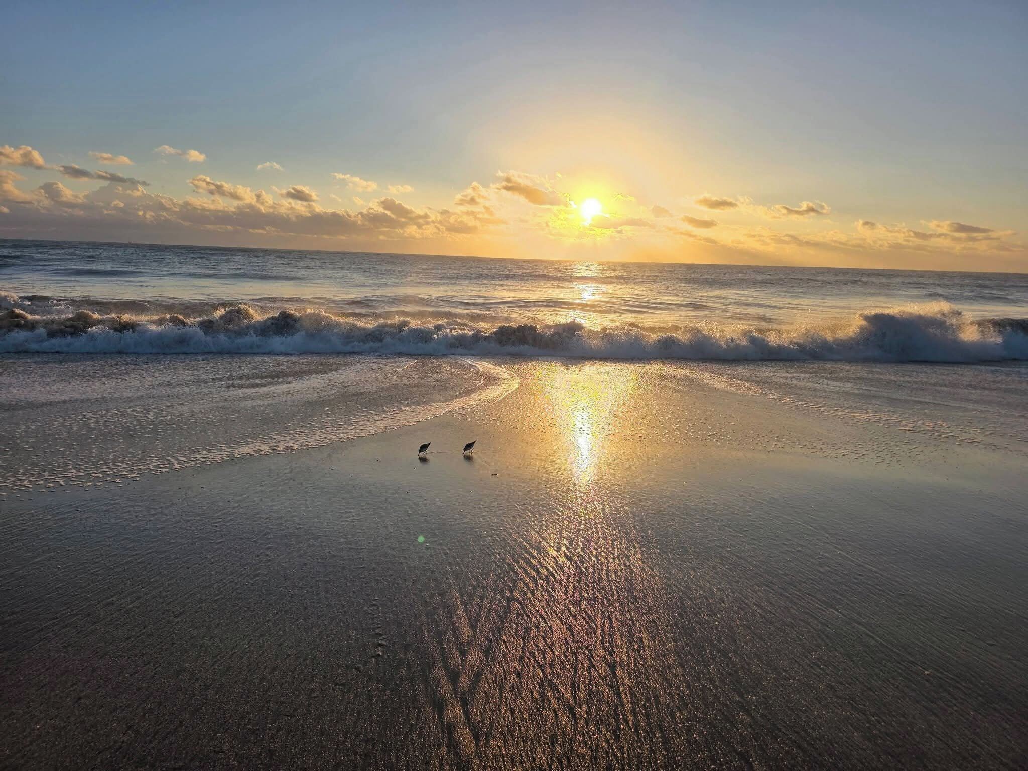Une plage avec des vagues et un coucher de soleil.