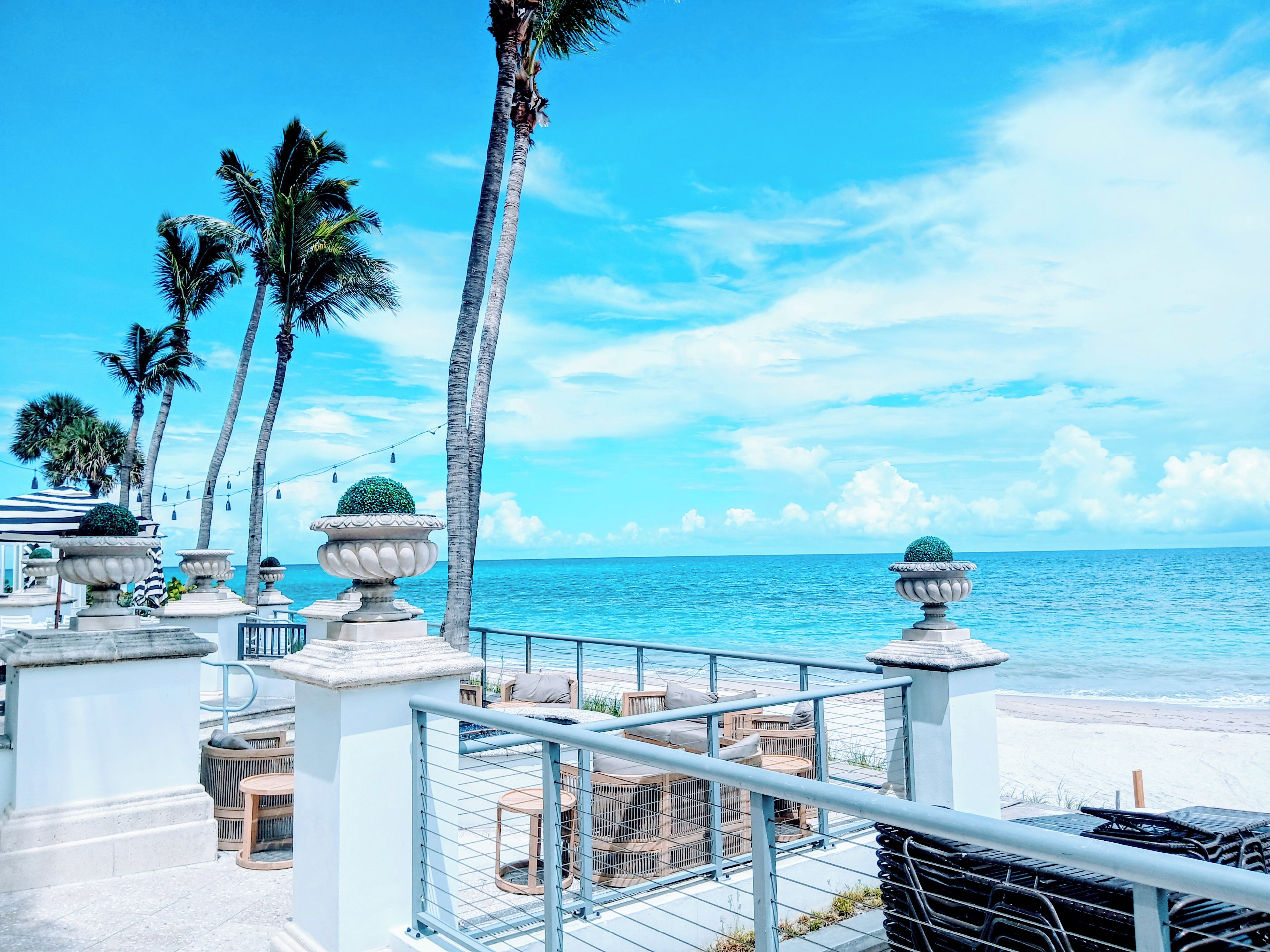 A seaside terrace with outdoor seating, palm trees, and a view of the ocean.