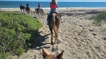Playa en los alrededores, camastros y toallas de playa
