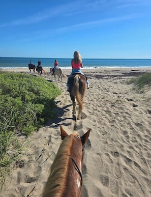 En strand med heste og ryttere, sandet terræn og havet i baggrunden.
