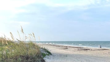 Plage à proximité, chaises longues, serviettes de plage