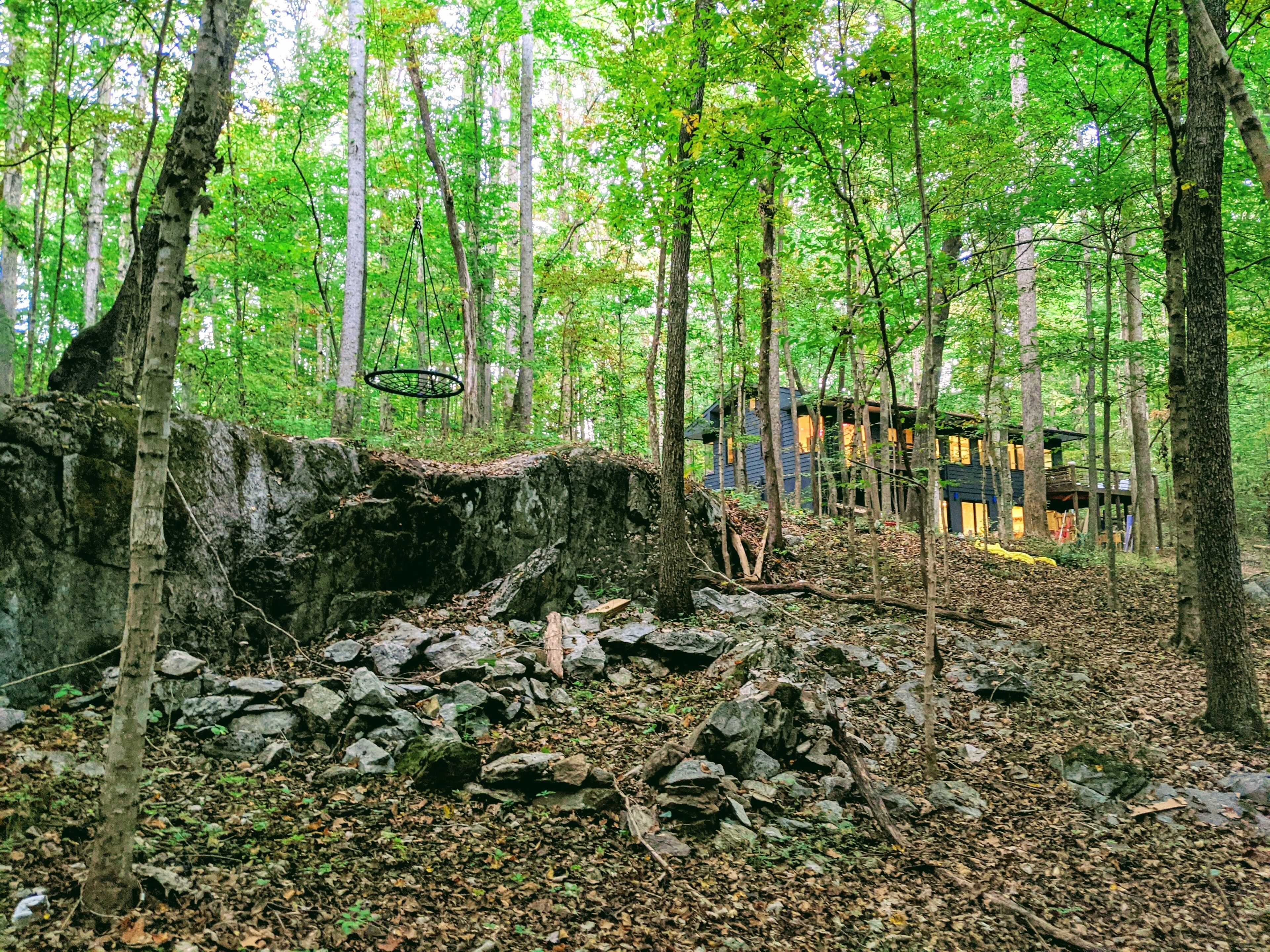 Forest Retreat at Sycamore Creek - 11 acres of woods to explore in Chapel Hill