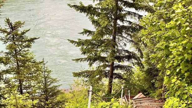 A view of a river with trees and a wooden staircase leading down to the water.