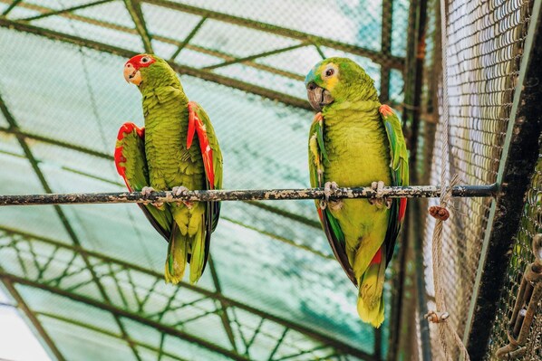 Miscellaneous - Cozy Apt w/ Kitchen + Free Wi-Fi! On-Site Parking (Epernay)