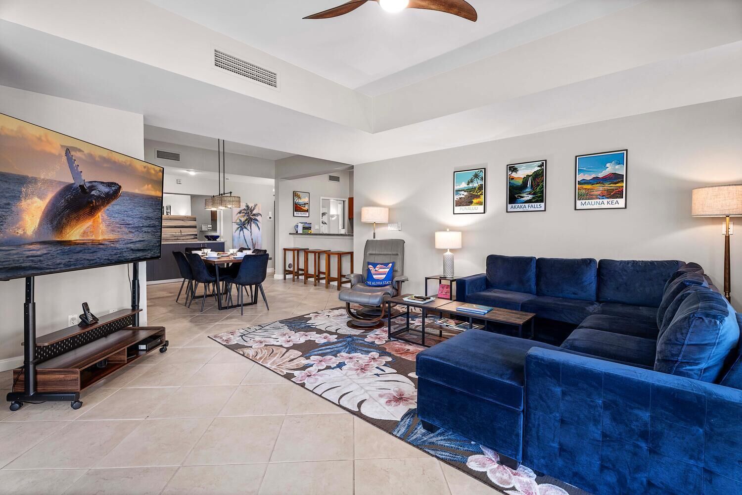 TV, DVD player, books, offices