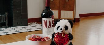 Fully Renovated Vintage Lake House steps from the lake and local amenities