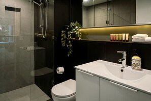 Shower, hair dryer, towels, soap