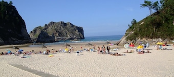 Apartamento Casa Male