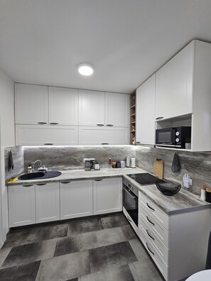 Fridge, oven - Apartment Aleksandra in city center (Backa Topola)