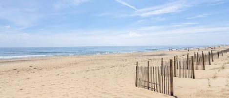 On the beach