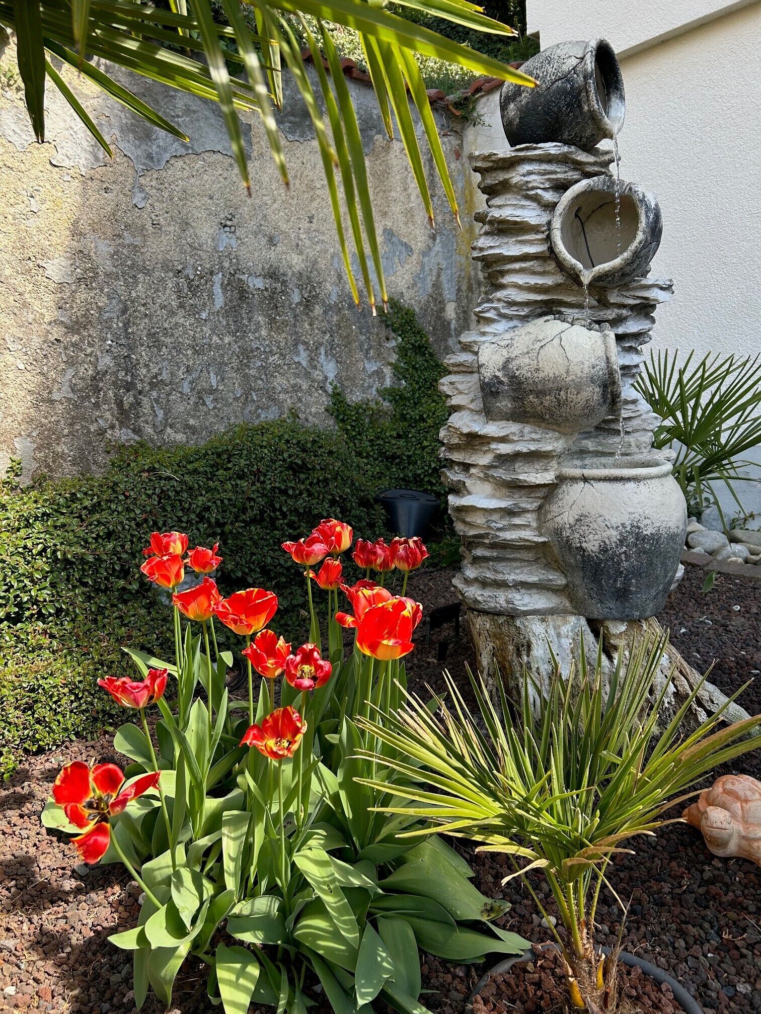 A garden with a stone water feature and red tulips.