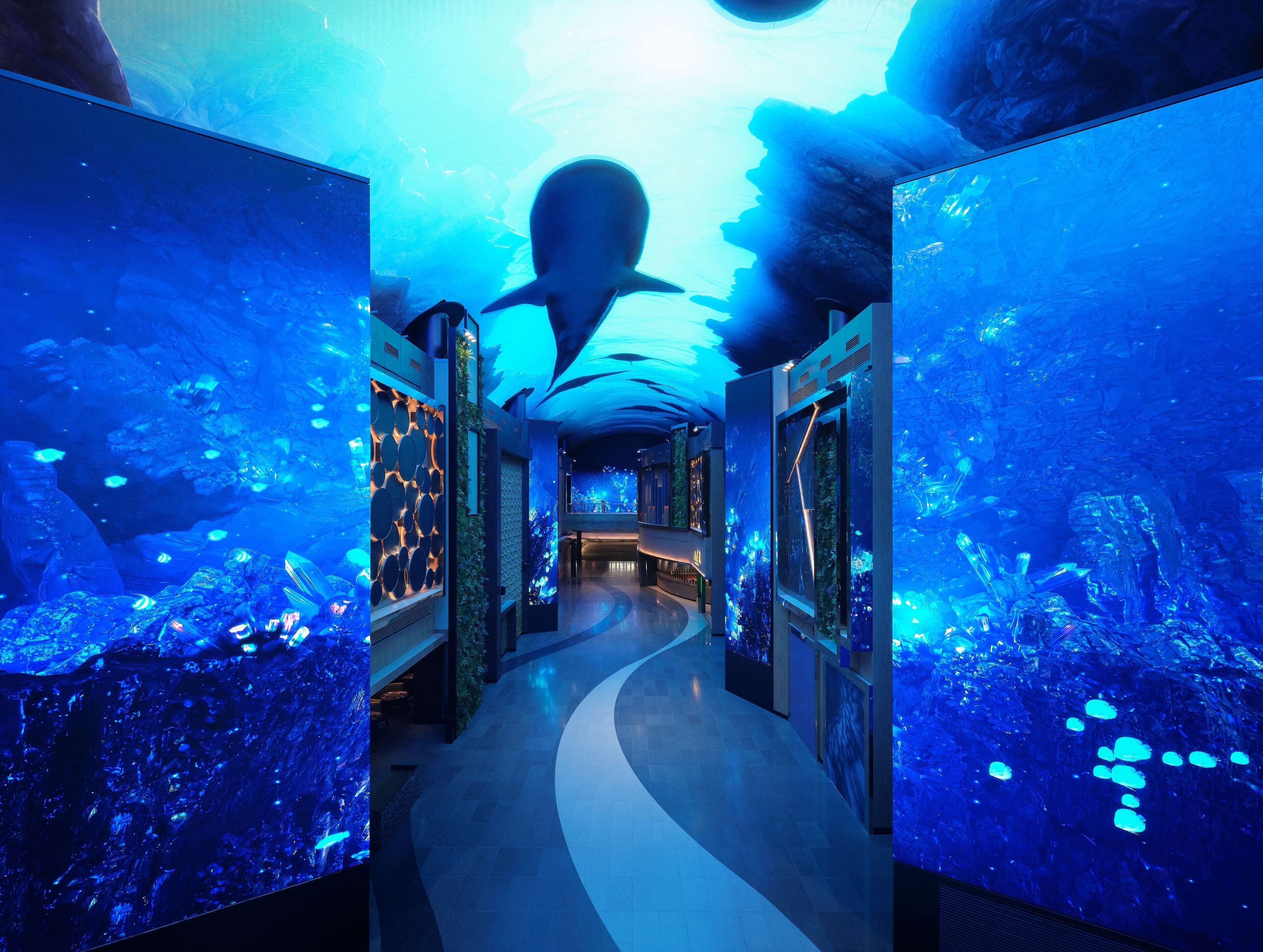 A hallway with aquarium walls and ceiling, featuring marine life and a futuristic design.