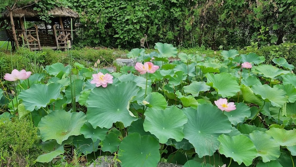 Cảnh từ trên cao