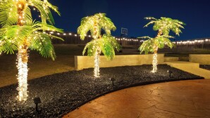 Zona ajardinada con palmeras decoradas con luces, una cancha de baloncesto y un camino pavimentado.