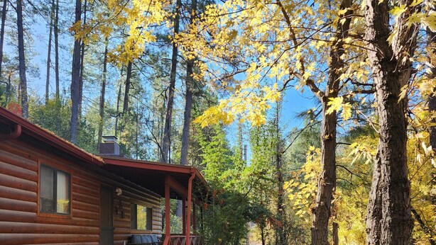 Una cabana de fusta amb un porxo cobert i un camí de maó.