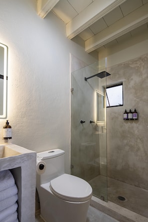A bathroom with a toilet, a glass-enclosed shower, a sink, and a mirror. - Holt Hotel del Pueblito (San Miguel de Allende)