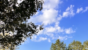 A single-story house with a front porch, a small garden, and a clear blue sky. - Acre Inn- private countryside home south of Nashville, 15 min to Spring Hill (Spring Hill)