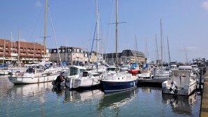 Ein Yachthafen mit mehreren angedockten Booten, Gebäuden im Hintergrund und ruhigem Wasser.