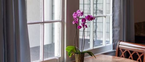 تناول الطعام