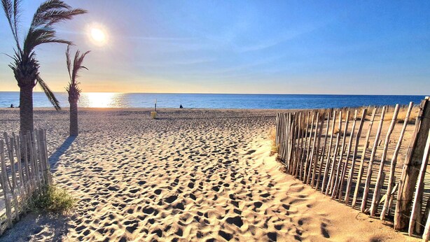 A sandy beach with a wooden fence, palm trees, and the ocean in the background. - Beautiful Vacation Rental in Le Barcarès, France (Le Barcarès)