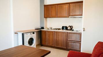 Appartement, 1 slaapkamer, toegankelijk voor mindervaliden, uitzicht op bergen | Wasservice