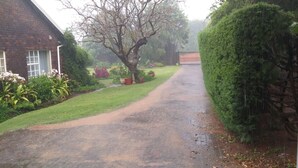 A narrow, wet road flanked by a brick house and a hedge.