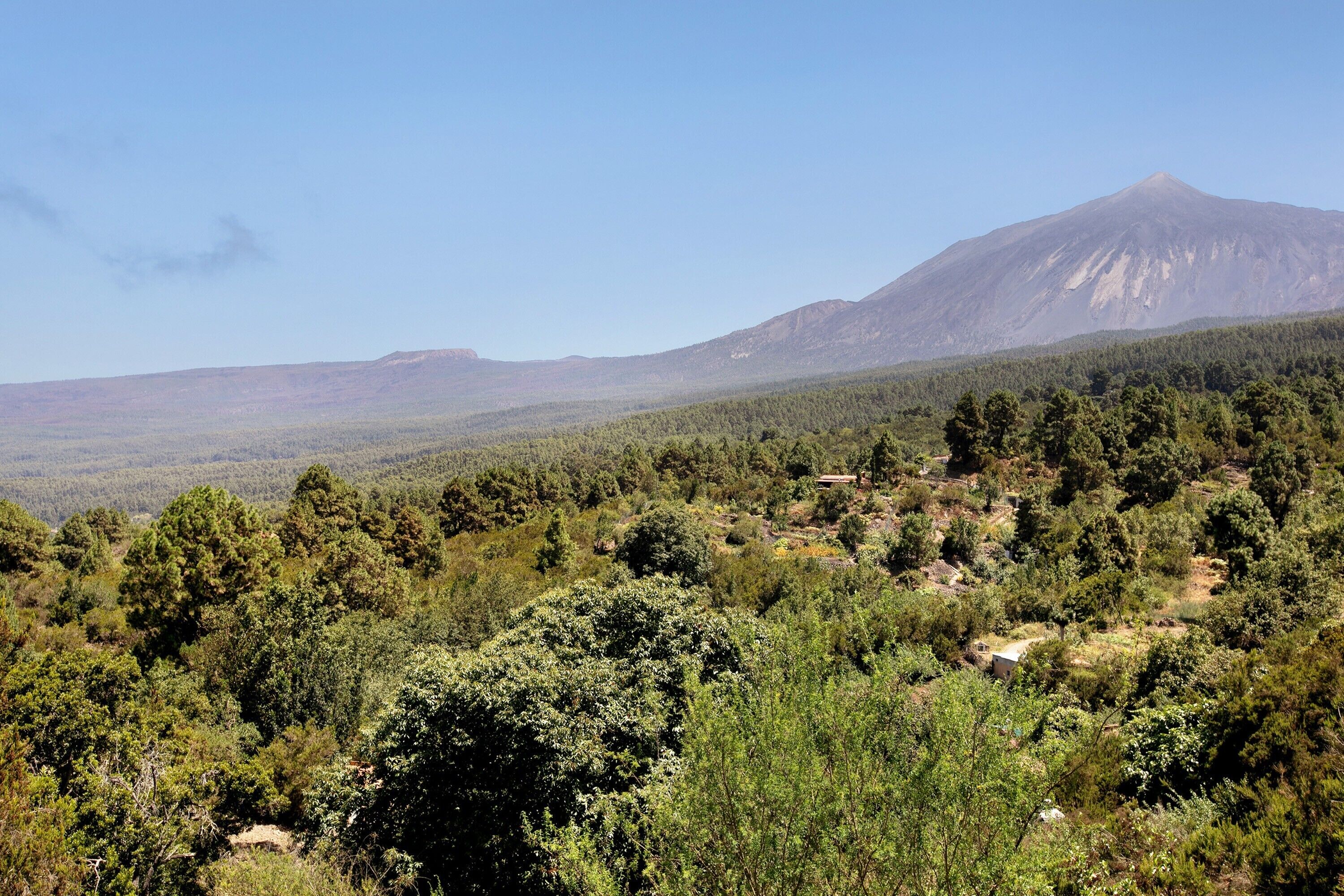 Un paisaje montañoso con bosque denso y una montaña destacada al fondo.