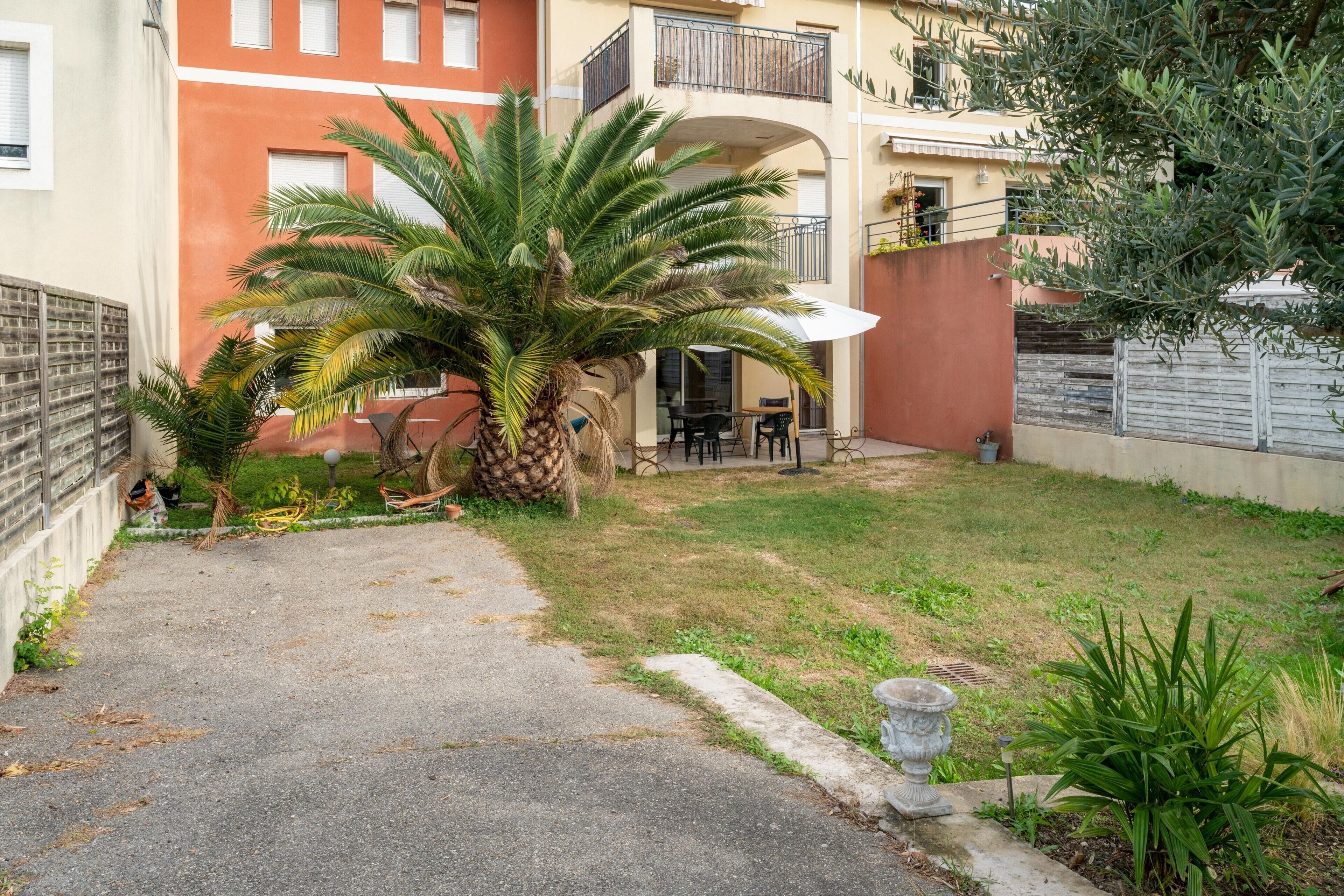 Um pátio com uma palmeira, um pequeno jardim e um edifício com varanda.