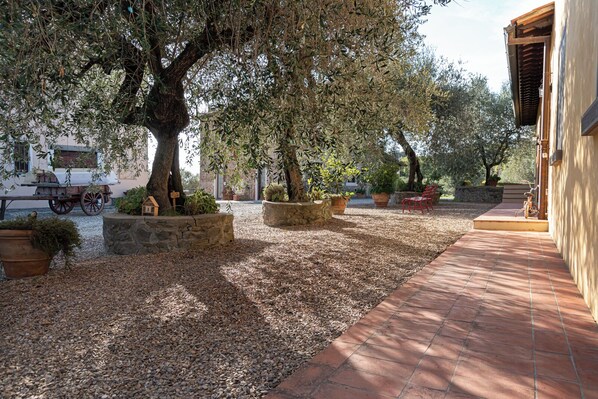 Terrassa o pati