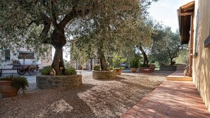 A courtyard with a gravel path, potted plants, and a rustic building. - Farmhouse 'Il Pintello - Il Riccio' with Shared Pool, Wi-Fi and Air Conditioning (San Casciano VP)