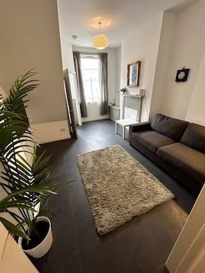 Una sala de estar con piso oscuro, un sofá marrón, un tapete estampado, una planta en maceta y una lámpara en el techo.